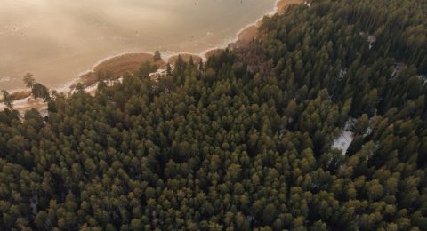 image-45
