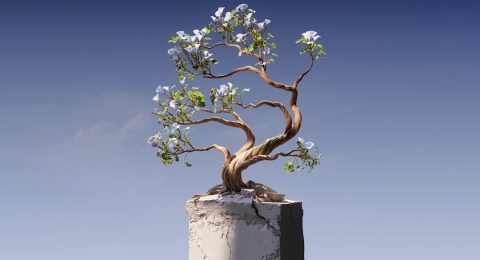 image-66